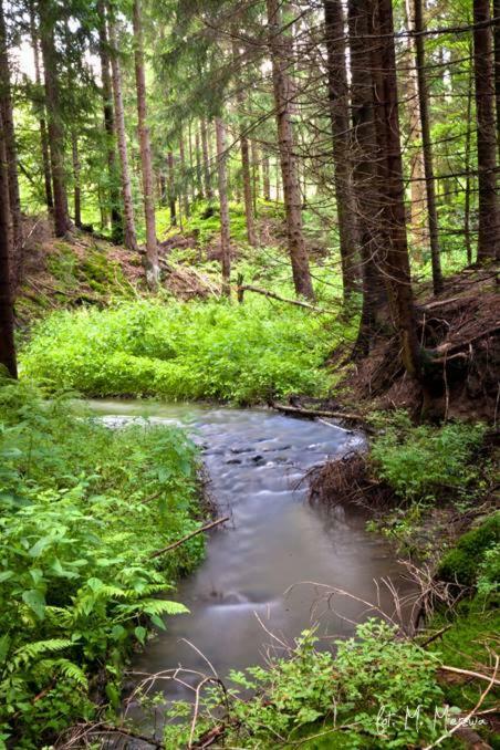 Pokoje Goscinne U Bocka Koniaków Exterior foto