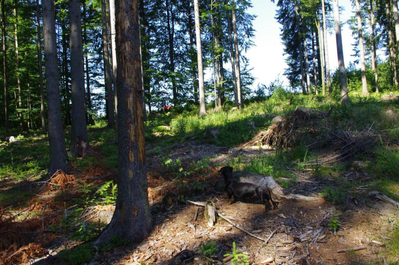 Pokoje Goscinne U Bocka Koniaków Exterior foto